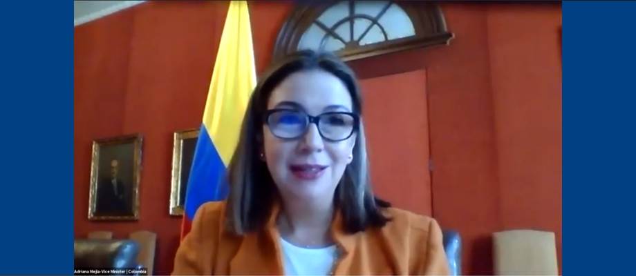 Importante intercambio con la comunidad internacional sobre la puesta en marcha del Estatuto Temporal de Protección para Migrantes Venezolanos coorganizado por el Instituto Egmont y la Embajada de Colombia en Bruselas